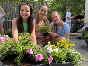 Basisschool de Fijne aarde Fijnaart Groep 8 Geraniums