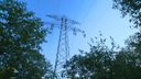 Protest tegen massale bomenkap voor nieuwe 380Kv-lijn