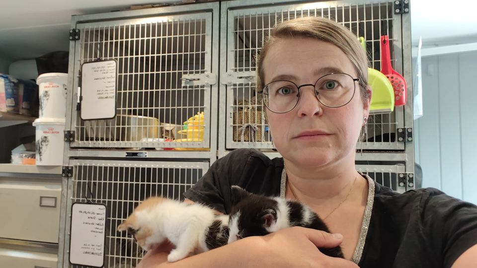 Campagne tegen kattenleed: &#8216;Hoop dat onze boodschap landt in Den Haag&#8217;