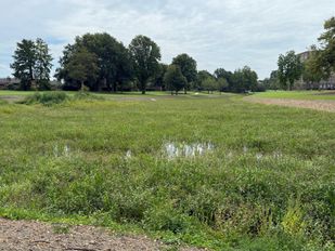 vijverberg bergen op zoom nieuws