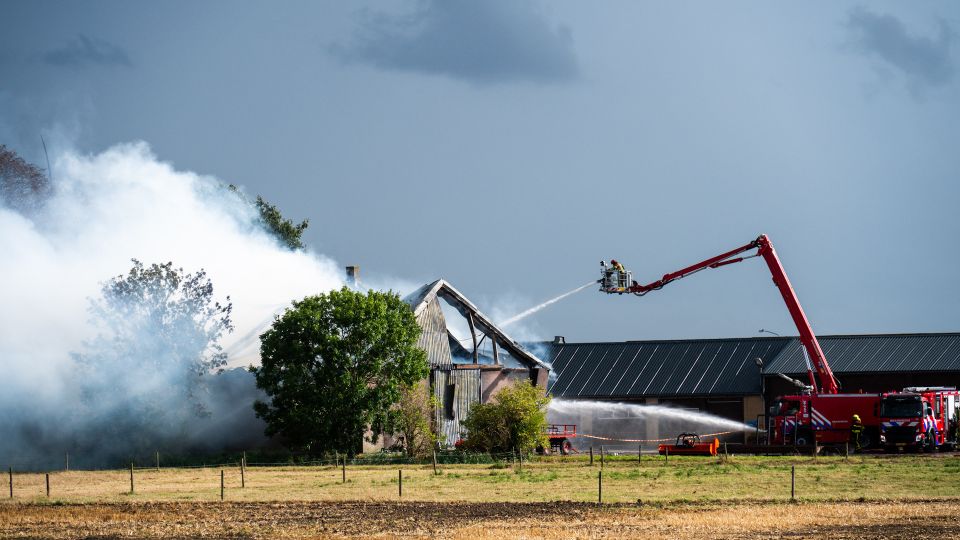Uitslaande brand in stal in Zevenbergen, vijf stieren niet meer te redden