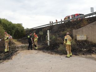 Bermbrand langs A17 bij Oud Gastel snel onder controle