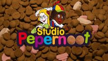 Studio Pepernoot 2016 - Aflevering 1