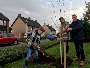 Nationale Boomfeestdag Huijbergen