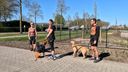 Honden en baasjes samen van start tijdens canicross Zundert: &#8216;Veel sneller dan wanneer je alleen loopt&#8217;