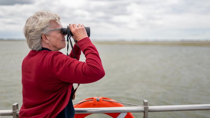 Zeehonden kijken tijdens Oosterschelde bewonerscursus | Foto: Jelka Matlung