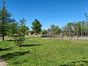 Opnieuw samenscholings&shy;verbod in Vogelaarpark: &#8216;Kijken welke stappen we nog meer kunnen zetten&#8217;