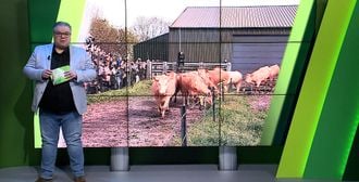 ZuidWest Update - 13 april – Roosendaal | Bergen op Zoom | Woensdrecht | Tholen | Steenbergen