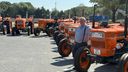 Ad heeft een erf vol oldtimertrekkers: &#8216;Het is een passie geworden&#8217;