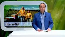 ZuidWest Update – 31 juli 2025