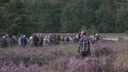 Natuurtheatervoorstelling KUDDE trekt over Kalmthoutse Heide