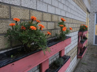 Aan de muren hangen bloembakken die bewoners gemaakt hebben. (Foto: ZuidWest Update)