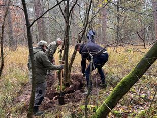 Natuurwerkdag Schijf