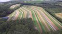 Duurzame strokenakkers: terug naar de teelt van toen