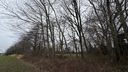 Bomen Haansberg Etten-Leur.