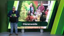 3 juli – Moerdijk | Etten-Leur | Zundert | Halderberge | Rucphen