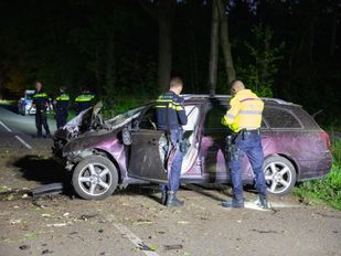 Dodelijk ongeval op Plantagebaan bij Wouwse Plantage: automobilist overleden