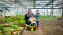 In deze moestuin heb je nooit last van wind of regen