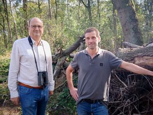 Zo maakt Jean-Benoît Cogels Groote Meer veerkrachtig tegen klimaatverandering