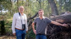 Zo houdt Groote Meer het bos gezond in een veranderend klimaat