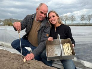 Vader Gilbert met dochter Janske op het aspergeveld.