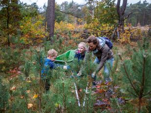 Natuurwerkdag West-Brabant