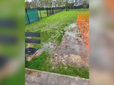 Het veld is al maanden kletsnat (foto: Marion Heijnen)