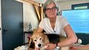 EHBO-lessen voor honden gewild bij baasjes: &#8216;Ongeluk zit in klein hoekje&#8217;