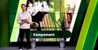 ZuidWest Update - 10 november – Roosendaal | Bergen op Zoom | Woensdrecht | Tholen | Steenbergen