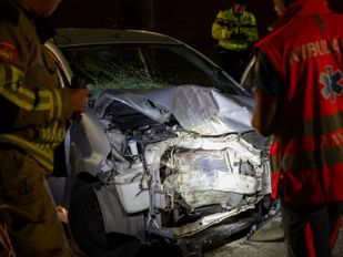 Auto botst tegen boom op Bredaseweg in Roosendaal