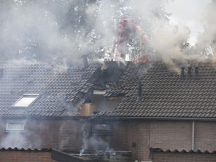 Foto: Cristian Traets