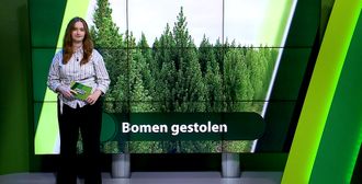 ZuidWest Update - 14 oktober – Roosendaal | Bergen op Zoom | Woensdrecht | Tholen | Steenbergen