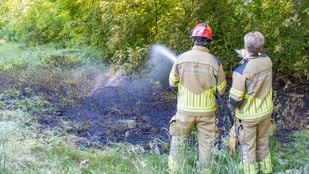 brand Hoogerheide