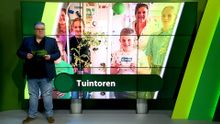 16 juni – Moerdijk | Etten-Leur | Zundert | Halderberge | Rucphen