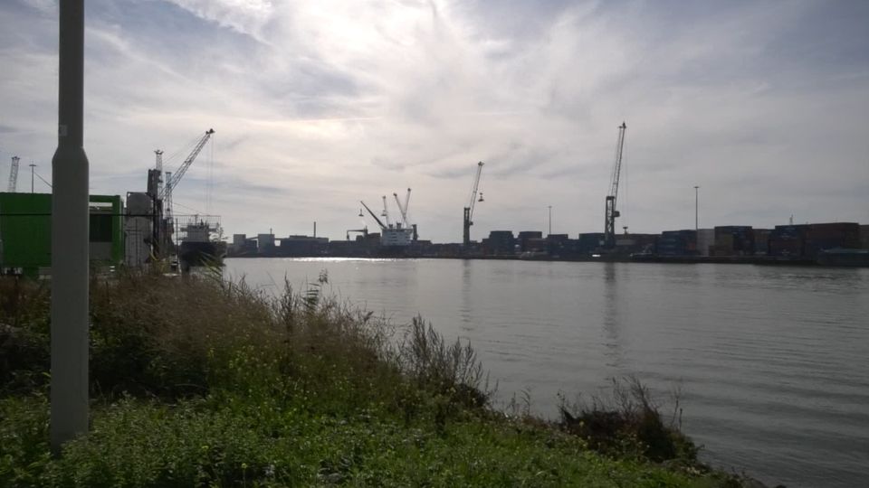 Ruim 3500 bezoekers ontdekken haven van Moerdijk: &#8216;Toch leuk om eens een kijkje te nemen&#8217;